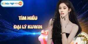 Đại lý KUWIN